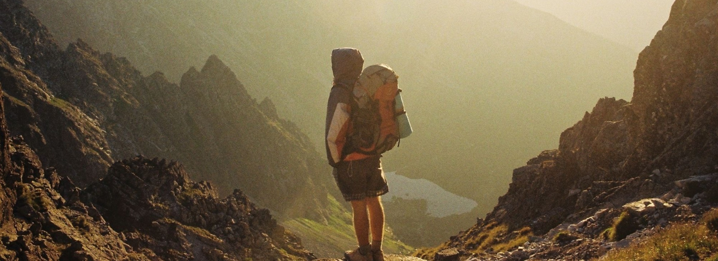 gallery/danka-peter-178-unsplash